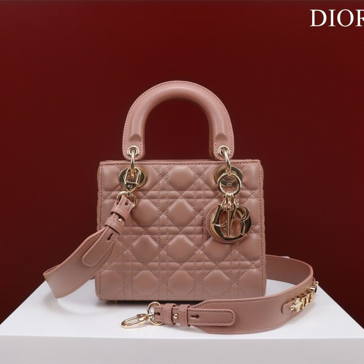 chr1st1an D10r my lady bags